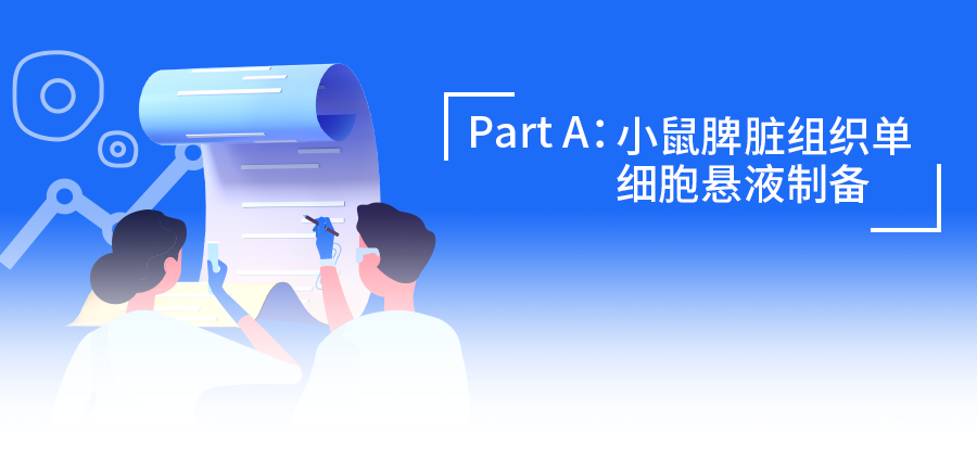 流式樣本制備：跟著步驟走，小鼠淋巴組織單細(xì)胞懸液制備so easy！