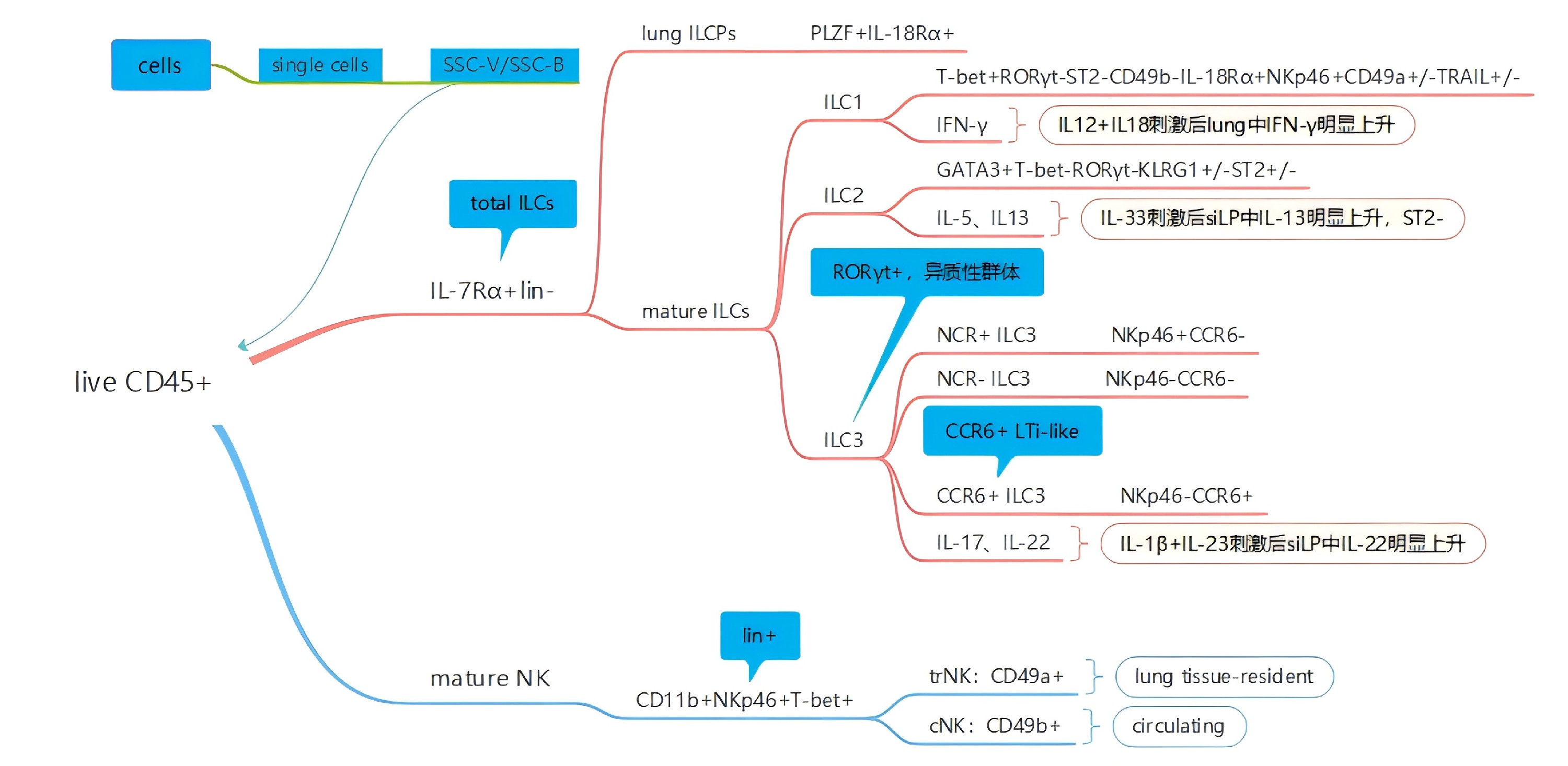 OMIP 86 小鼠肺和siLP中ILC 指標.jpg
