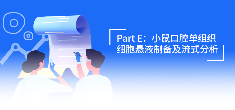 流式樣本制備Ⅳ：隱藏關(guān)卡已解鎖！小鼠口腔組織單細(xì)胞懸液制備和流式分析全解析
