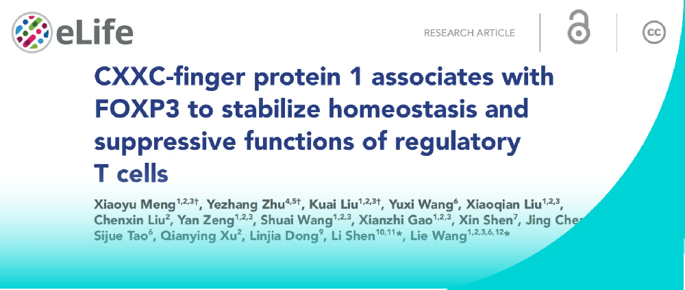 前沿解讀 | 層浪流式助力揭秘CXXC1-FOXP3在Treg細(xì)胞表觀遺傳及功能穩(wěn)態(tài)的調(diào)控機(jī)制